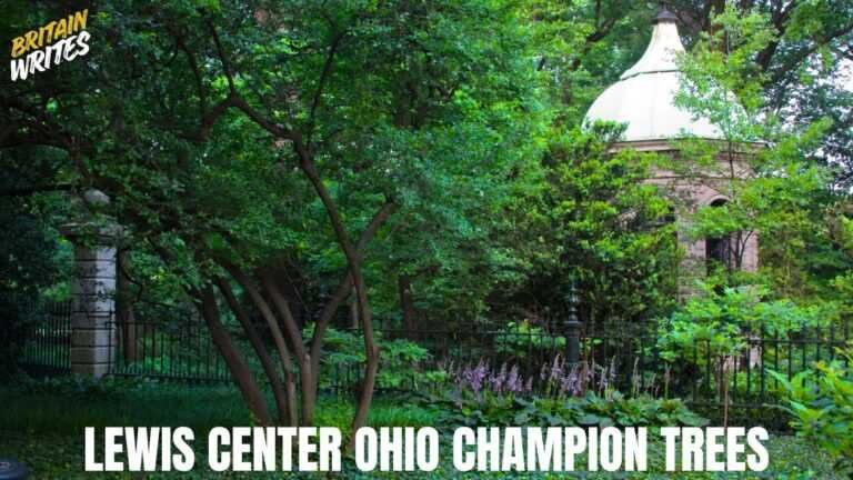 lewis center ohio champion trees